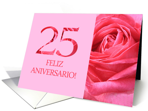 25th Anniversary Spanish Feliz Aniversario Pink Rose Close Up card