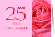25th Anniversary Spanish Feliz Aniversario Pink Rose Close Up card