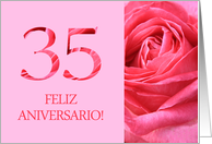 35th Anniversary Spanish Feliz Aniversario Pink Rose Close Up card