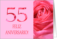 55th Anniversary Spanish Feliz Aniversario Pink Rose Close Up card