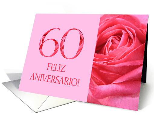 60th Anniversary Spanish Feliz Aniversario Pink Rose Close Up card