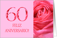 60th Anniversary Spanish Feliz Aniversario Pink Rose Close Up card