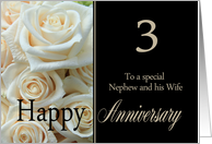 3rd Anniversary, Nephew & Wife - Pale pink roses card
