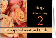 2nd Anniversary, Aunt & Uncle multicolored pink roses card