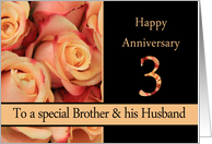 3rd Anniversary, Brother & Husband multicolored pink roses card