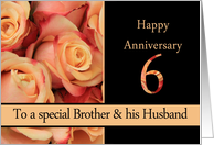 6th Anniversary, Brother & Husband multicolored pink roses card