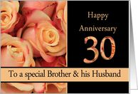 30th Anniversary, Brother & Husband multicolored pink roses card