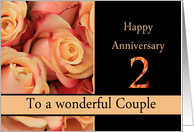 2nd Anniversary to couple - multicolored pink roses card