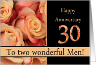 30th Anniversary to gay couple - multicolored pink roses card