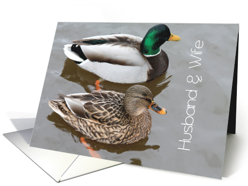 Husband and Wife Ducks Wedding Congratulations card (546571)