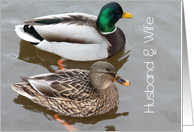 Husband and Wife Ducks Wedding Congratulations card