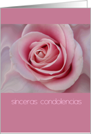 Spanish Sympathy Big Pink Rose card