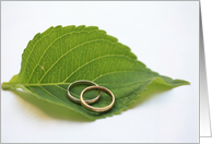 wedding rings on a leaf after a divorce card