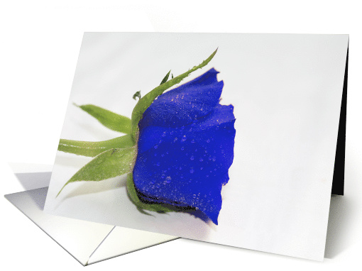 Blue Waterdrop Rose Blank Any Occasion card (554594)
