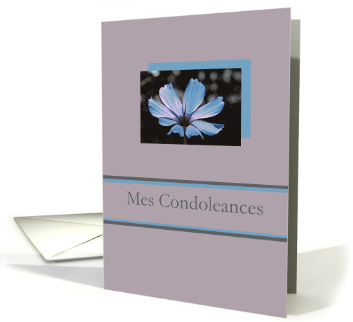 French Sympathy Blue Cosmos Flower on Grey card (557165)