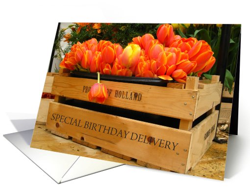 special birthday delivery tulips card (561721)