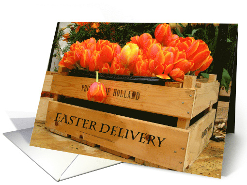 special easter delivery tulips card (561728)