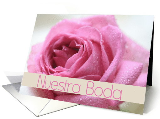 Nuestra Boda Spanish Wedding Invitation Pink Rose card (566926)
