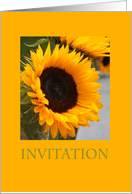 sunflower invitation card