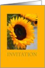 sunflower invitation card