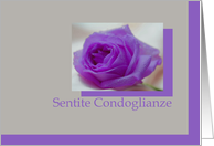 Italian Sympathy Sentite Condoglianze Purple Rose on Grey card