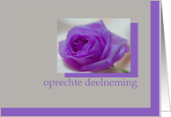 purple rose on grey sympathy card - Dutch card