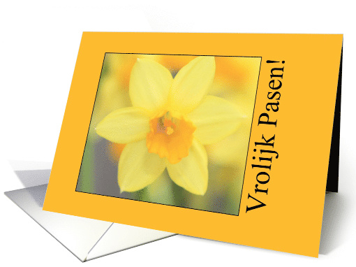 Vrolijk Pasen Yellow Daffodil Dutch Easter card (590130)