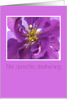 purple larkspur dutch sympathy card