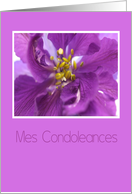 French Sympathy Purple Larkspur card