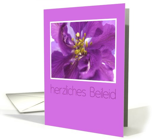 purple larkspur german sympathy card (590247)