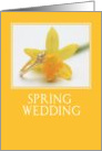 yellow daffodil spring wedding invitation card