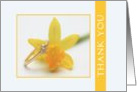 yellow daffodil wedding thank you card