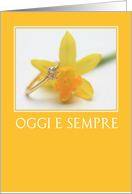 daffodil italian congratulations on wedding day card