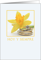 daffodil spanish...