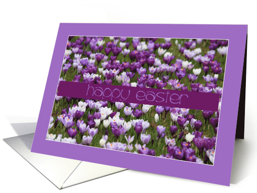 Purple Crocus Happy Easter card (593018)