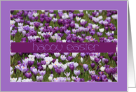 Purple Crocus Happy Easter card