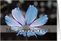 French Sympathy Blue Cosmos Flower card