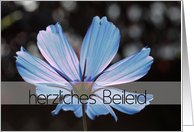 German Sympathy Blue Cosmos Flower card