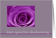 Dutch Sympathy Purple Rose card