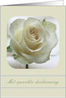 White Rose Dutch Sympathy card