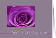 Italian Sympathy Purple Rose card