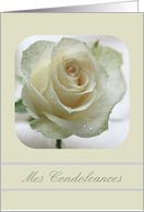 French Sympathy White Rose card