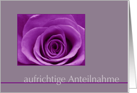 German Sympathy Purple Rose card