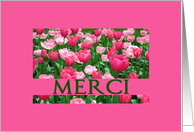 Merci French Thank You Pink Tulips card