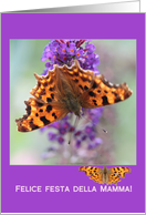 Italian Mother’s Day Comma Butterfly card