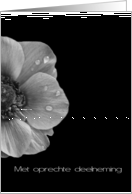 Dutch Sympathy Anemone in Black and White card