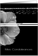 French Sympathy Anemone in Black and White card
