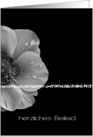 German Sympathy Anemone in Black and White card
