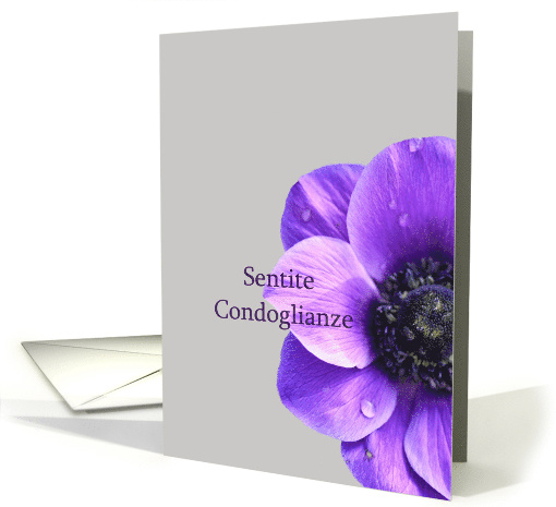 Italian Purple Anemone Sympathy card (602914)
