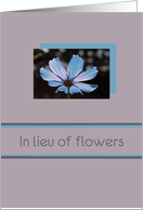 blue cosmos in lieu of flowers card